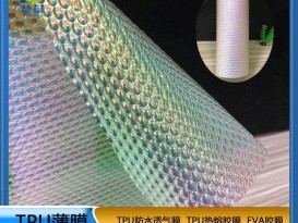 TPU鐳射彩虹膜 紋路功能性薄膜蛇皮紋大棱型幻彩膜生產(chǎn)廠家價(jià)格直銷(xiāo)