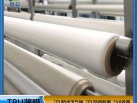 廠(chǎng)家直銷(xiāo)防水透氣膜乳白色低透復(fù)合面料霧面TPU功能薄膜 免費(fèi)寄樣